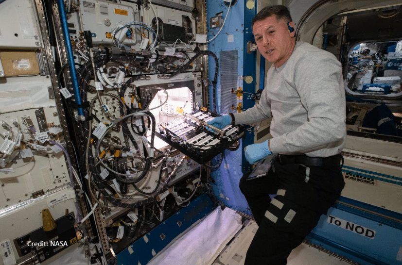 Credit: NASA Image